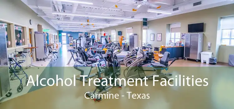 Alcohol Treatment Facilities Carmine - Texas