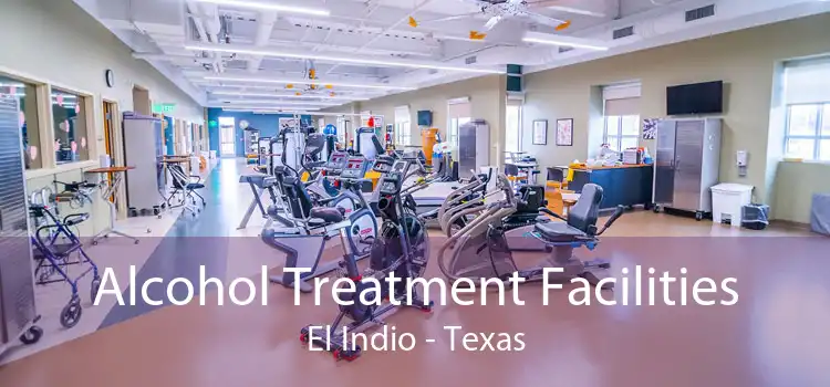 Alcohol Treatment Facilities El Indio - Texas