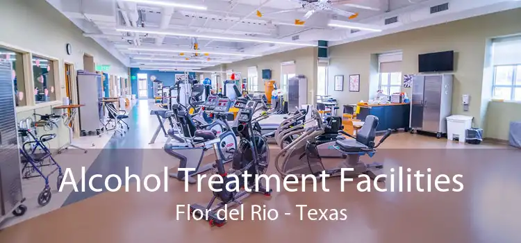 Alcohol Treatment Facilities Flor del Rio - Texas