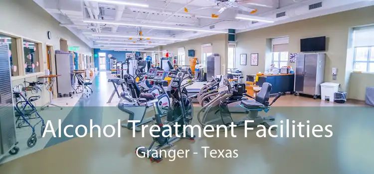 Alcohol Treatment Facilities Granger - Texas