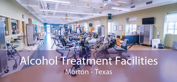 Alcohol Treatment Facilities Morton - Texas