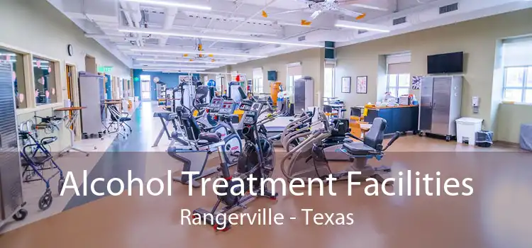 Alcohol Treatment Facilities Rangerville - Texas