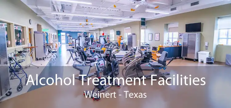 Alcohol Treatment Facilities Weinert - Texas