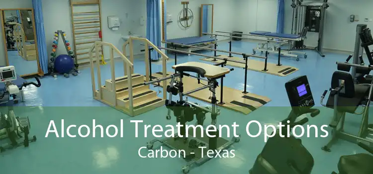 Alcohol Treatment Options Carbon - Texas