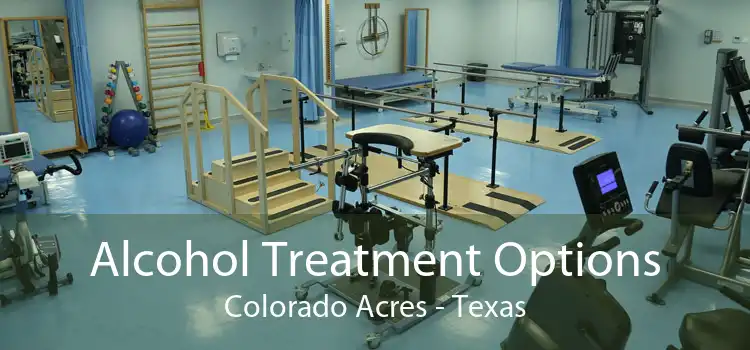 Alcohol Treatment Options Colorado Acres - Texas