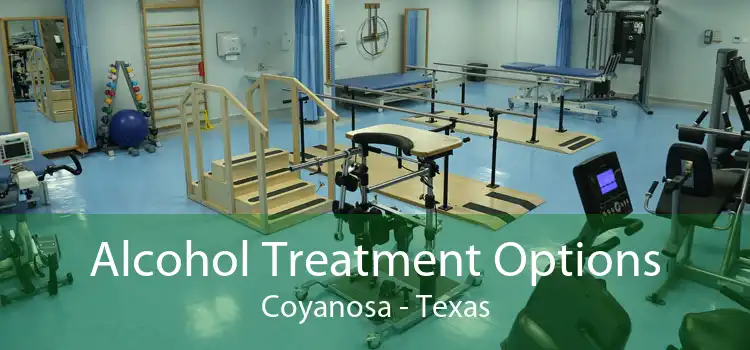 Alcohol Treatment Options Coyanosa - Texas