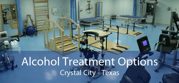 Alcohol Treatment Options Crystal City - Texas