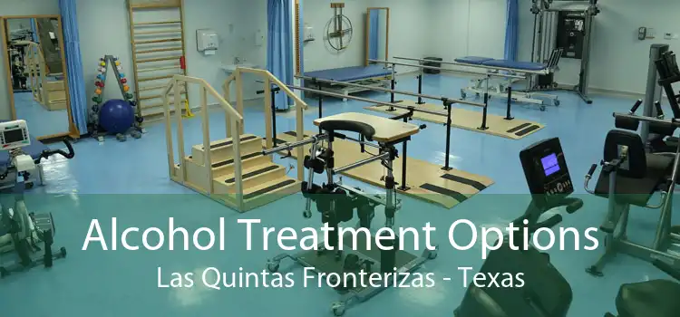 Alcohol Treatment Options Las Quintas Fronterizas - Texas