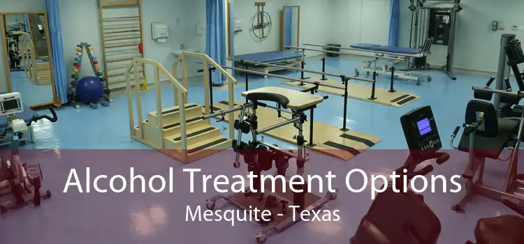 Alcohol Treatment Options Mesquite - Texas