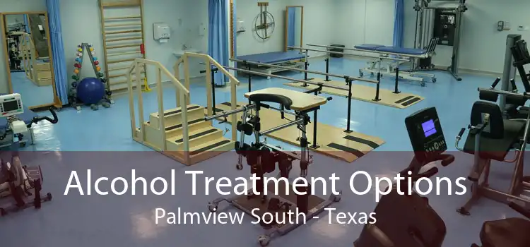 Alcohol Treatment Options Palmview South - Texas