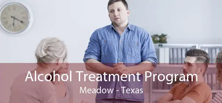 Alcohol Treatment Program Meadow - Texas